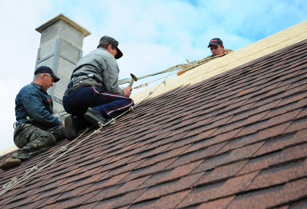 Best Gutter Installation and Roofing  in Rancho Viejo, TX